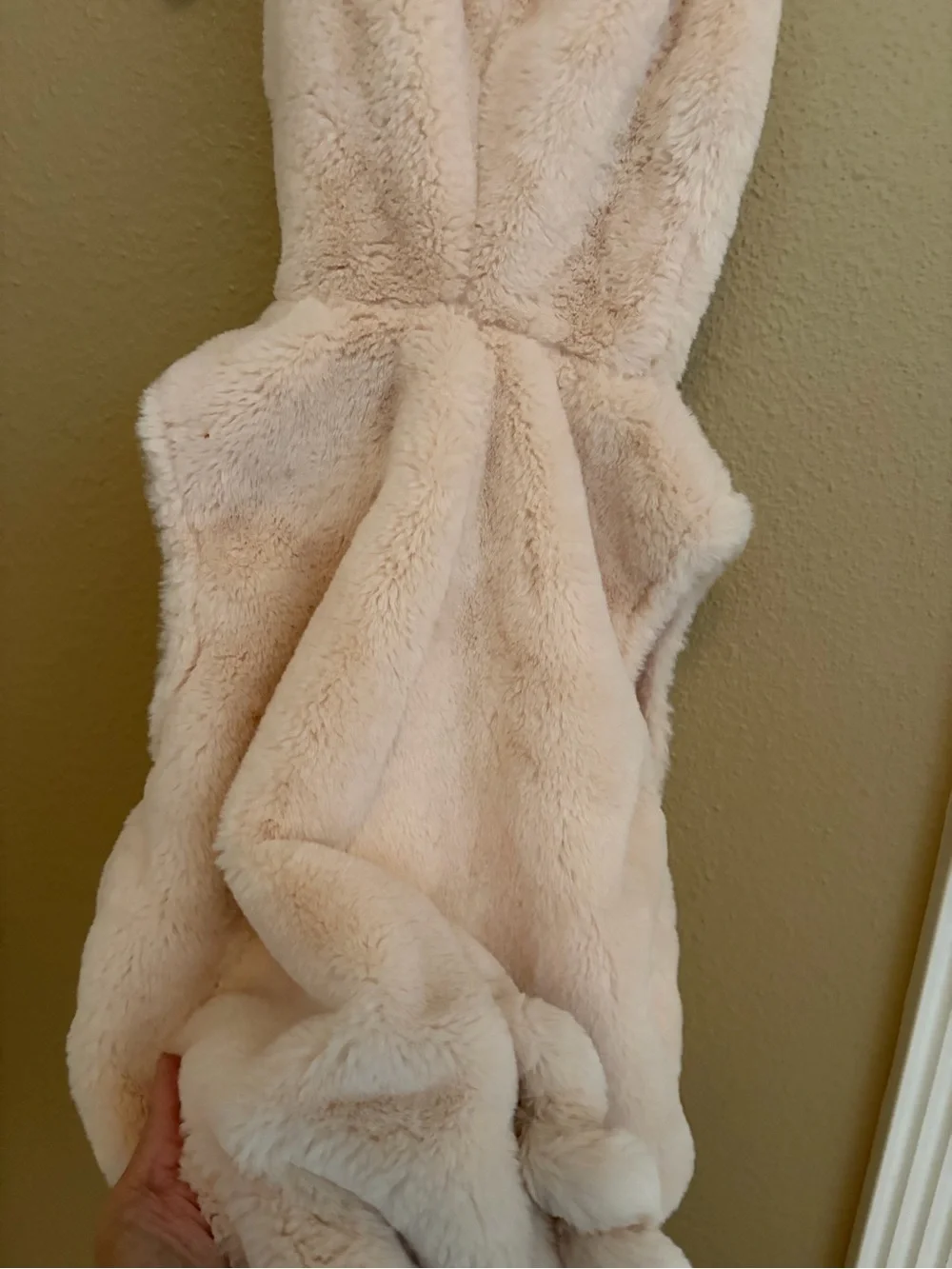 Pottery Barn Kids 12-24 Month Blush Pink Piglet Costume